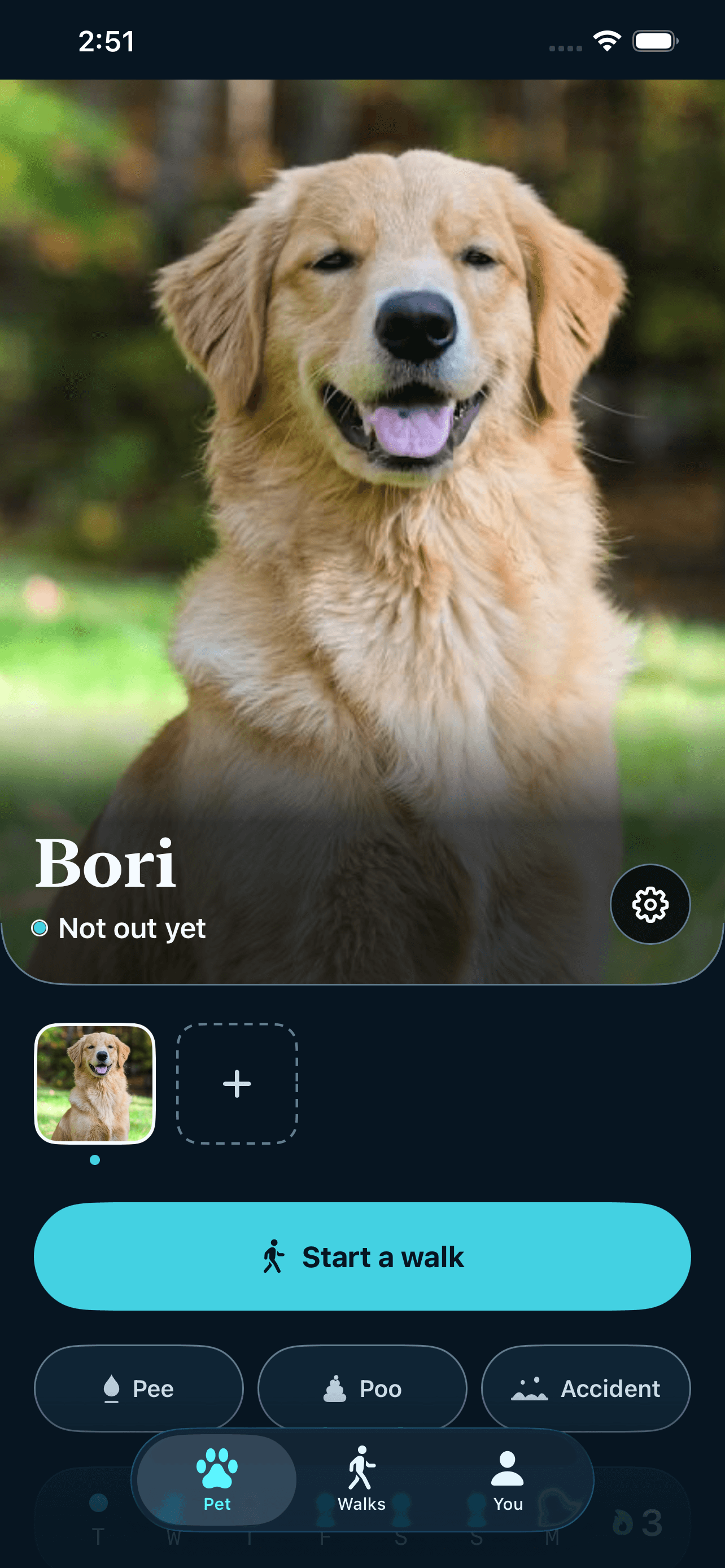 WristPet pet home showing Bori, recent walk activity, and care schedule