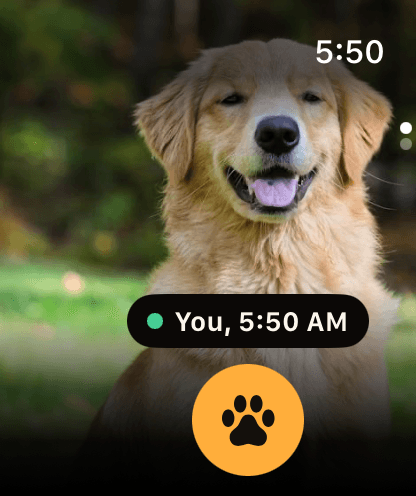 WristPet Apple Watch home showing the pet photo and latest walk caregiver